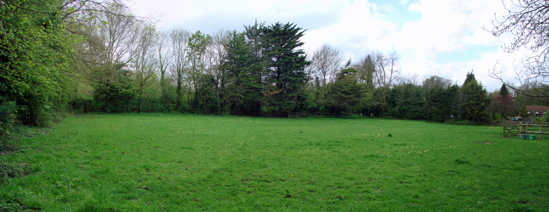 Quiet, sheltered grazing over the Surrey Downs