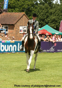 Hickstead Derby Meeting